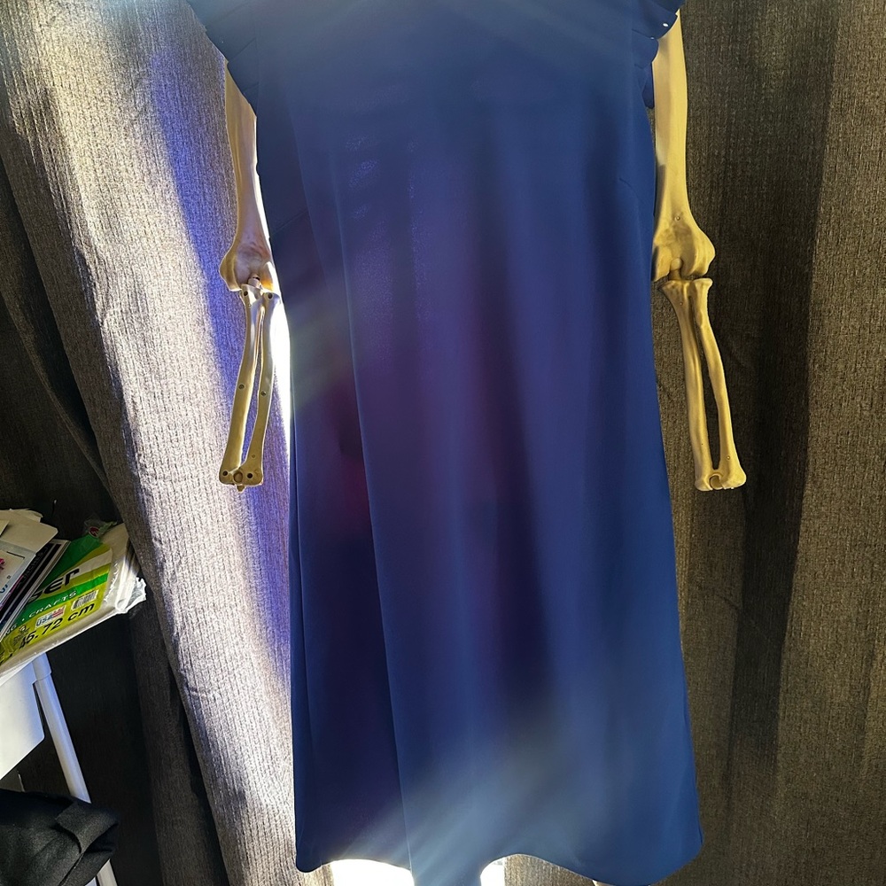 Shelby & Palmer Royal Blue Midi Dress